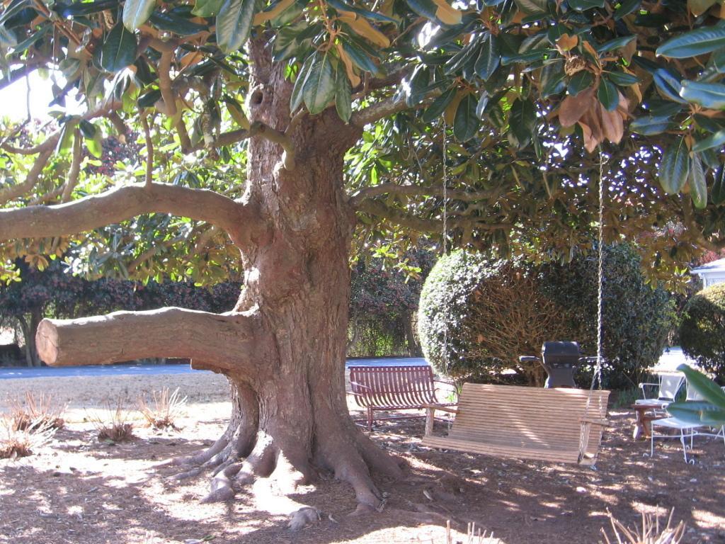 White Columns Motel Pine Mountain  Εξωτερικό φωτογραφία